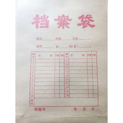 檔案袋 175g側(cè)寬4cm 標(biāo)書合同文件資料袋 