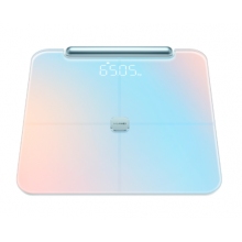 華為智能體脂秤 2 Pro